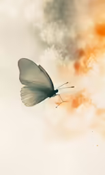 a butterfly is sitting on a flower with clouds