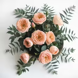 a bouquet of pink roses is placed on a white background