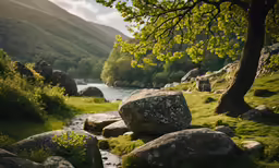 rocky shore with a stream flowing between two large rocks
