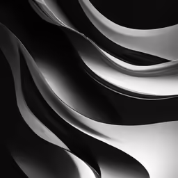a black and white photo with different lines
