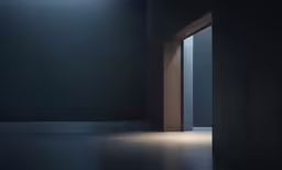 an empty room with large windows, lighting in from the side