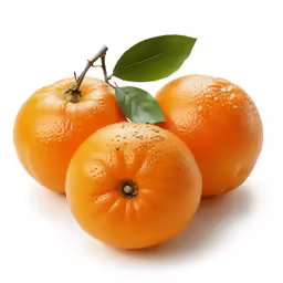 two oranges on a white background one with a leaf