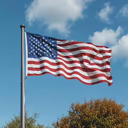 an american flag with trees in the background