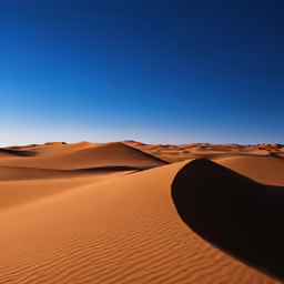 a small patch of dirt in the desert