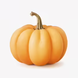 a giant pumpkin with a tiny stalk on top of it