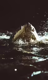 water splashing on top of a rock out in the ocean