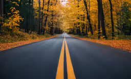 an empty asphalt road through the autumn forest