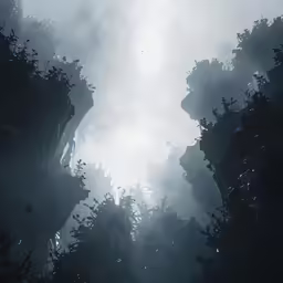 the photo is looking up into the forest