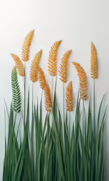 an image of some plants that are in the grass