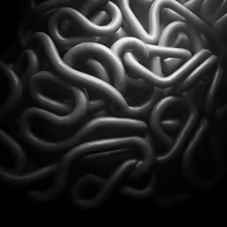 the pattern on this picture is really interesting