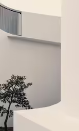 a tree that is in the dirt by some windows