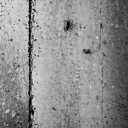 some very dark paint with a small patch of light