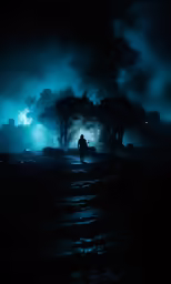 a person walking in the dark near a forest