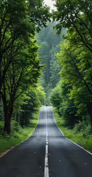 there is a large long empty road between two forest lined roads