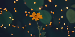 a yellow flower on the stem with leaves behind it