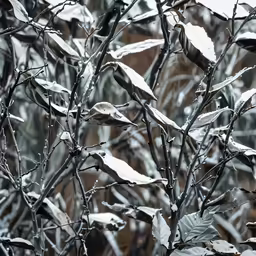 snowy leaves in a tree with some building in the background