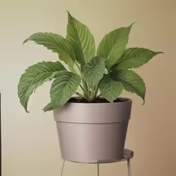a potted plant with a green leafy planter in it