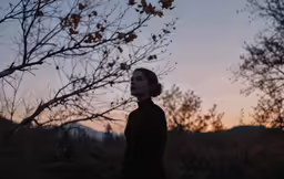 a person is standing by a tree at sunset