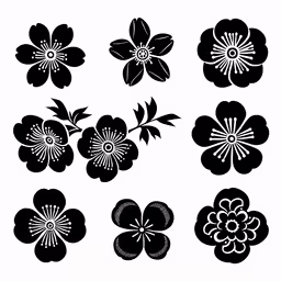 several black and white flowers on a white background,nine black flowers set on white background