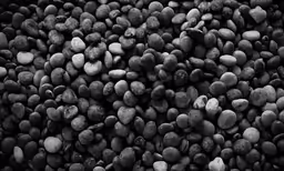 some black and white rocks are close together
