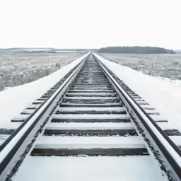 a rail road tracks sits in the snow