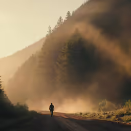 the silhouette of a person walking up a dirt road near tall trees