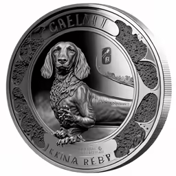the 2012 national puppy medallion with a drawing of a dog