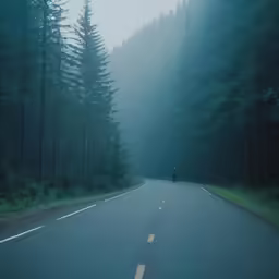 a person standing on the side of a tree lined road