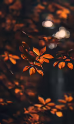 a tree branch that has some small leaves in it