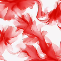 a group of red flowers with large leaves