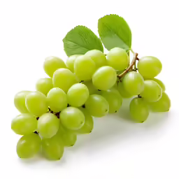 grapes and leaves on a white background