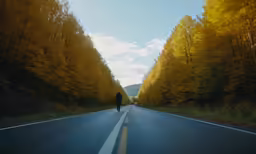 man walking away on a road in the middle of a forest