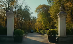 a car is driving down an alley between a row of plants
