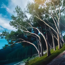 a painting of the sun setting on trees and shrubs
