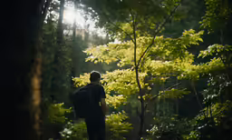 a man in the woods looking up into the trees