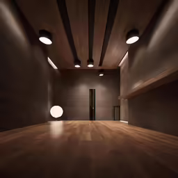 wood flooring in a dimly lit room with large lights