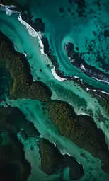 aerial photo taken from a jet plane of a beach