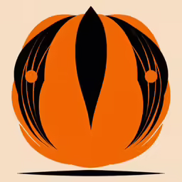 an orange and black pumpkin with a white border