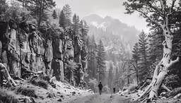 a person is on a dirt road through the woods