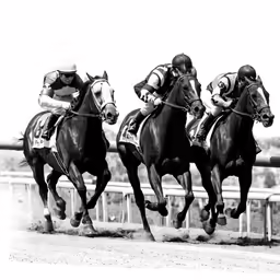 three jockeys are racing horses in the race
