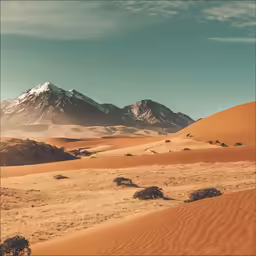a desert with a few sand dunes
