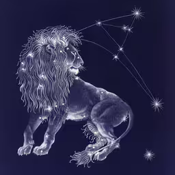 a white lion sitting in the air,a lion is shown with stars and sky around it