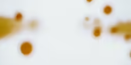 some circles of brown and white on a white wall