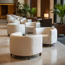 chairs in an lobby that have plants in their corner
