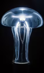 a glass vase sitting on top of a table