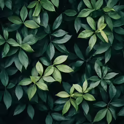 lots of green leaves are arranged in the middle of the frame