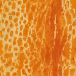 a yellow and orange background with black dots