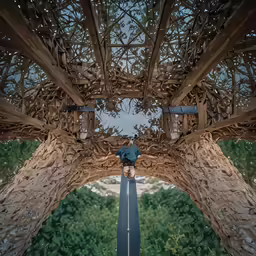 the image is distorted with one person climbing up the branches