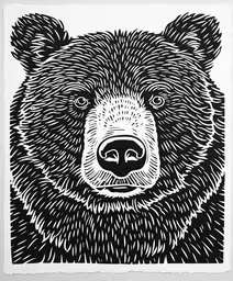a black and white bear drawing with the background looking into the camera,a bear in black and white that is in the center of a paper