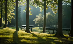 some benches in a park with trees around